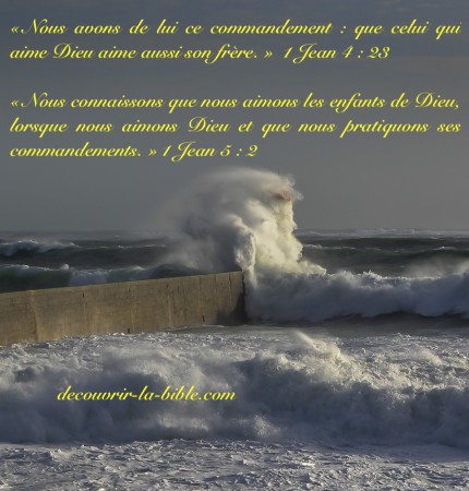 Celui qui aime Dieu aime aussi son frère